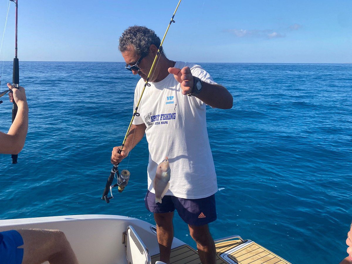 Dolphin Boat Safari Photo