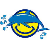 dolphin boat safari avis